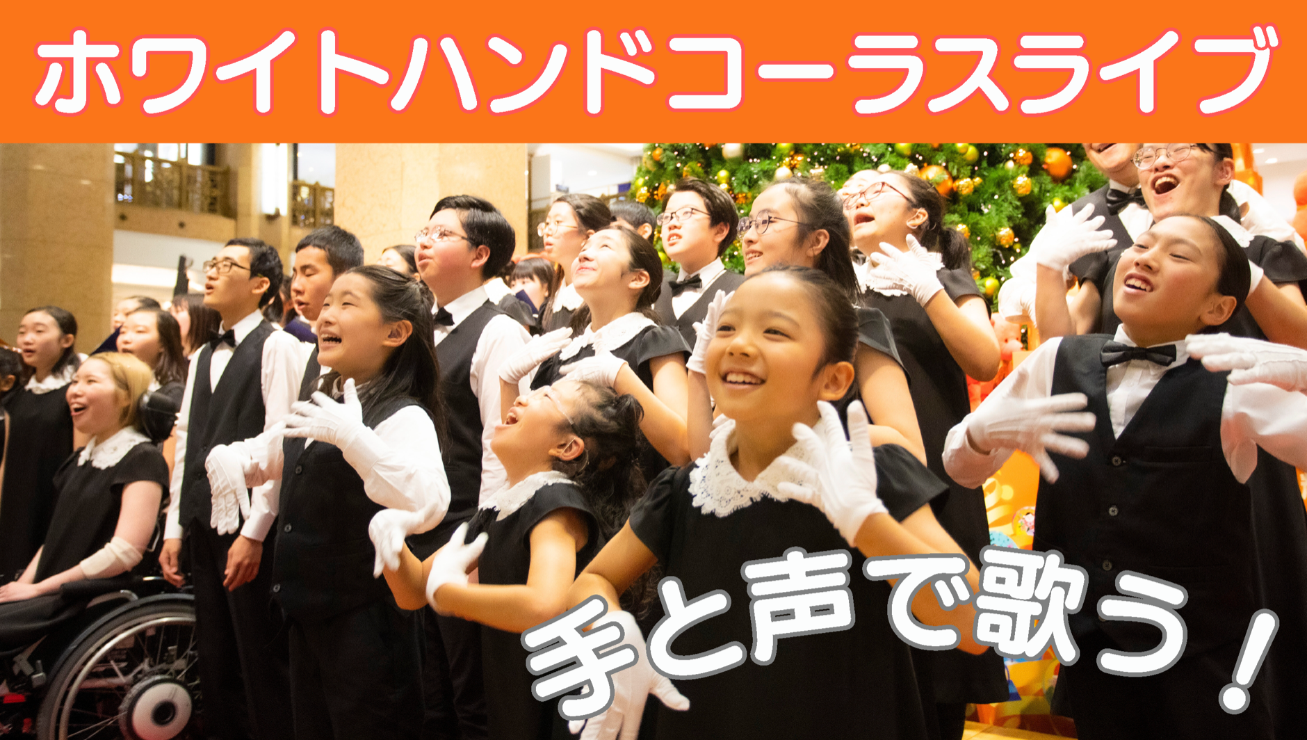 【テレビ放映のご案内】　「news every. （日テレ）O.A」8月4日 16:00〜16:30 放送予定‼️
